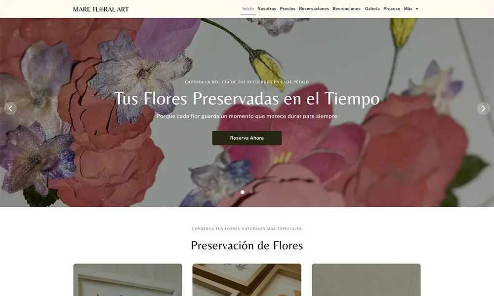Portafolio web