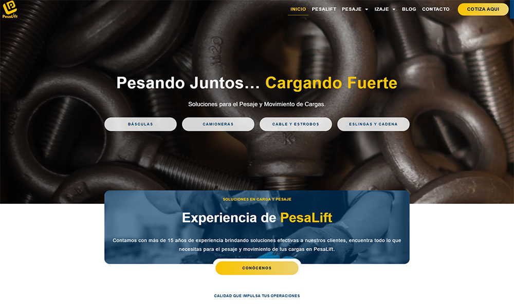 Portafolio web
